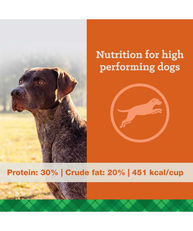 nutrition for high performing dogs