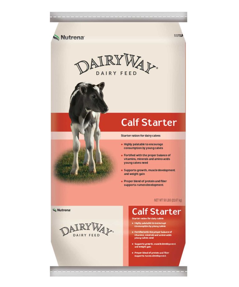 Dairy Way Calf starter