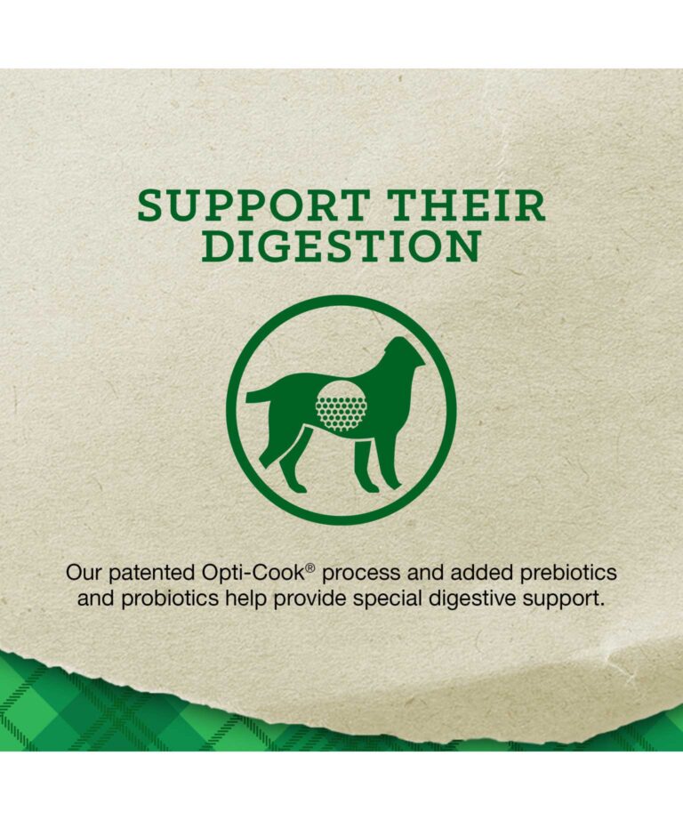 support their digestion