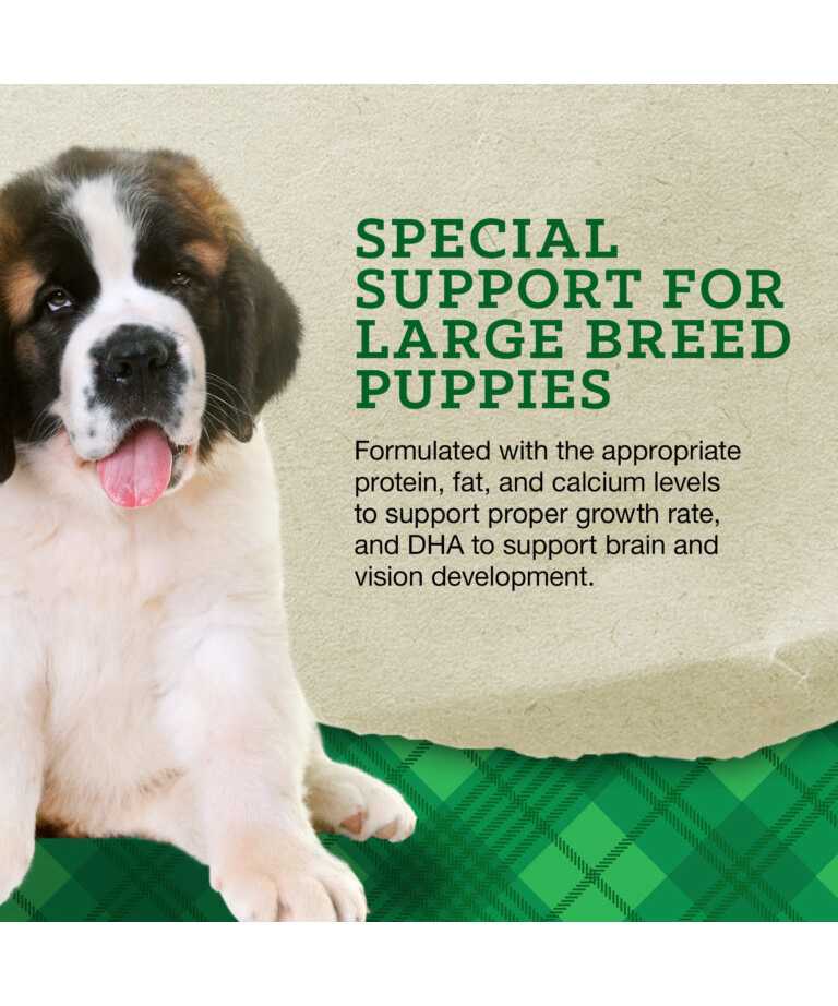 special support for large breed puppies