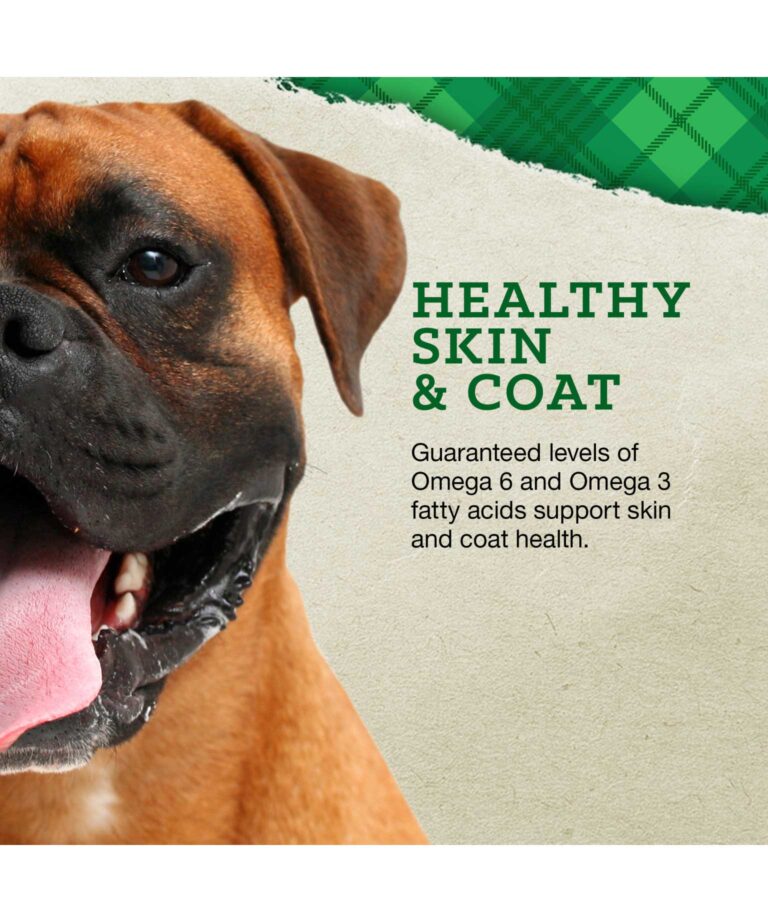 healthy skin & coat