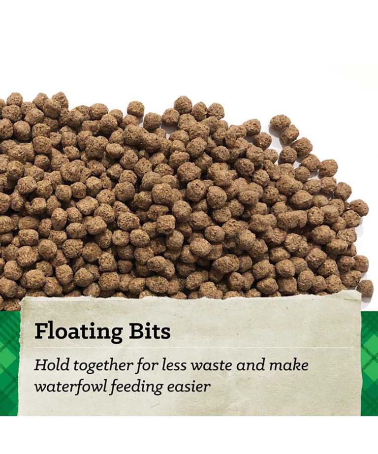 floating bits