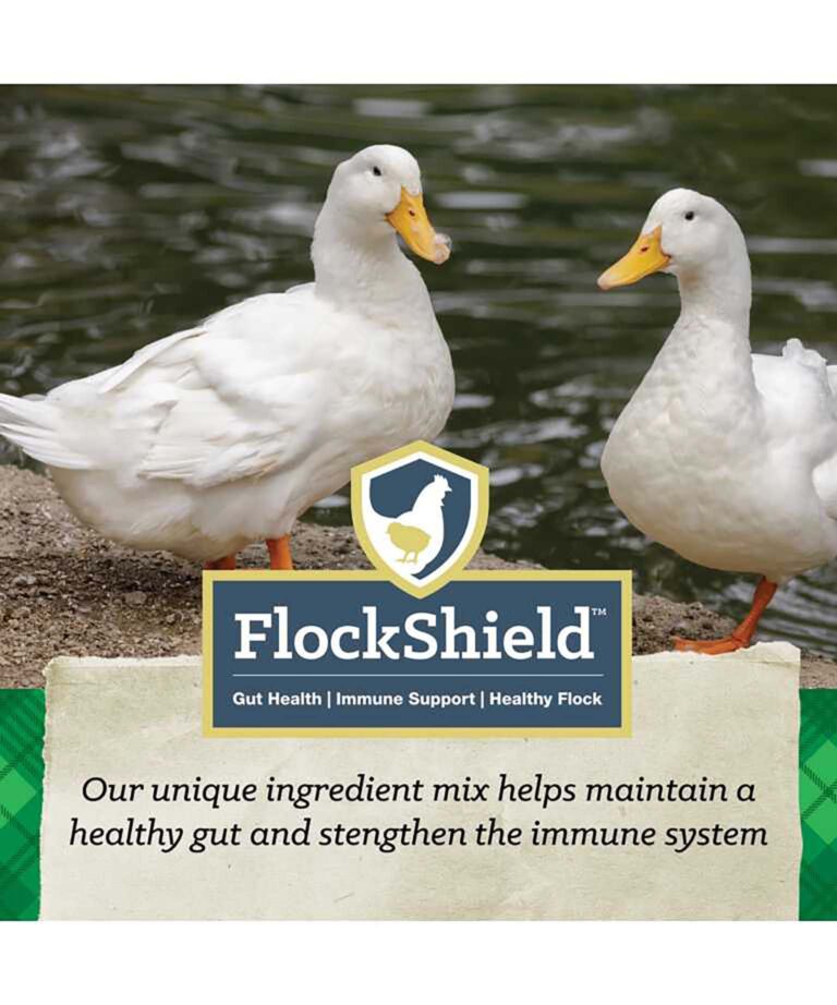 flockshield