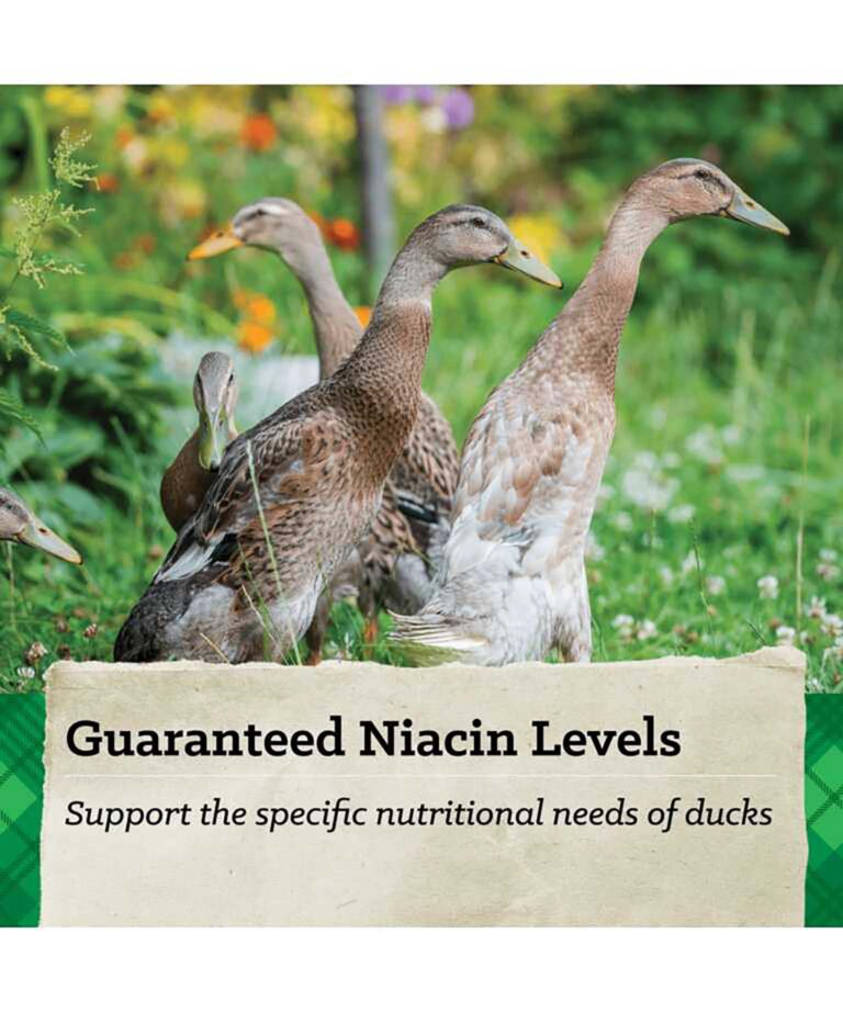guaranteed niacin levels