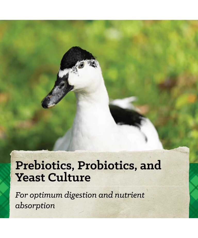 Prebiotics, probiotics, and yeast culture