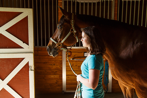 Biosecurity for Horses at Home