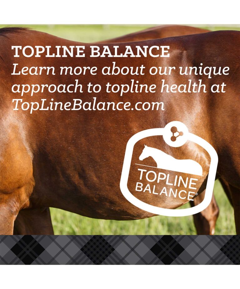 topline balance