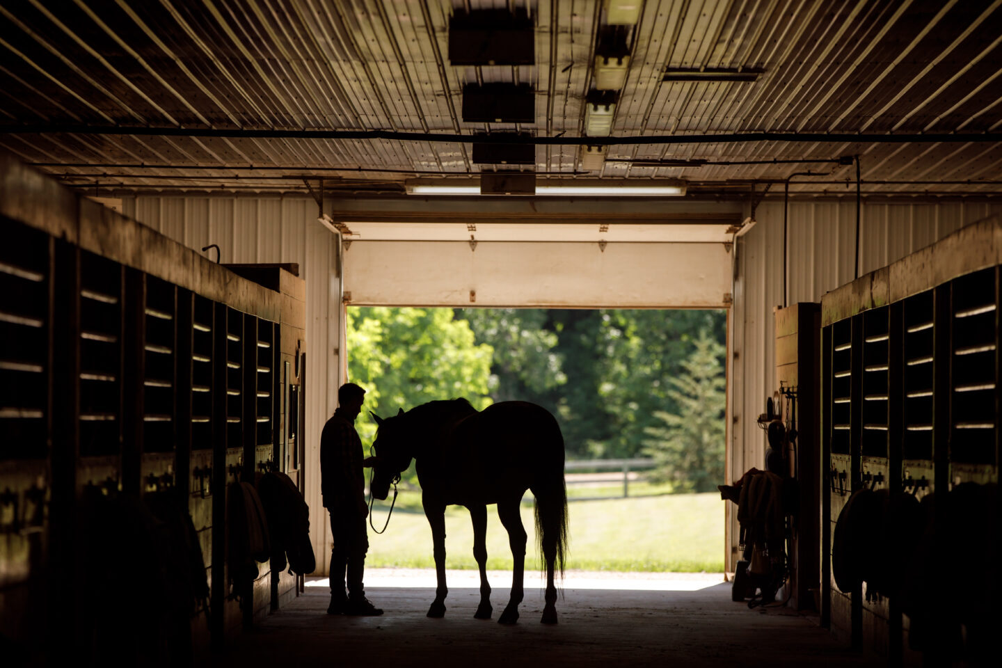 man with horse in barn