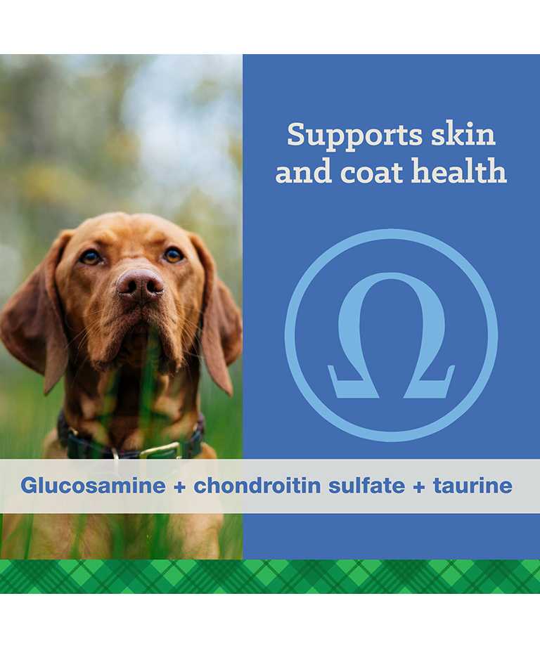 supports skin and coat health