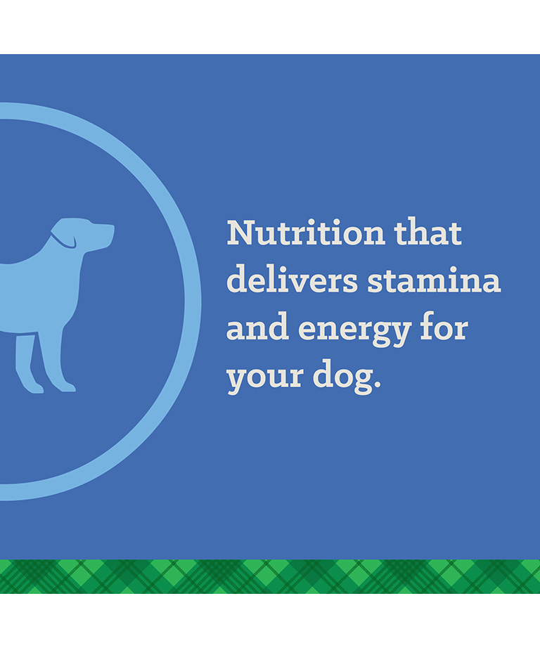 nutrition that delivers stamina and energy for your dog