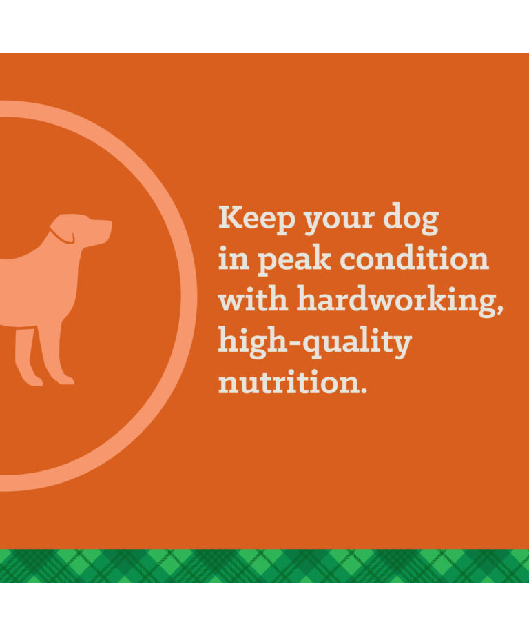 keep your dog in peak condition