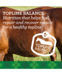 Topline balance is nutrition that helps fuel, repair and recover muslce for a healthy topline