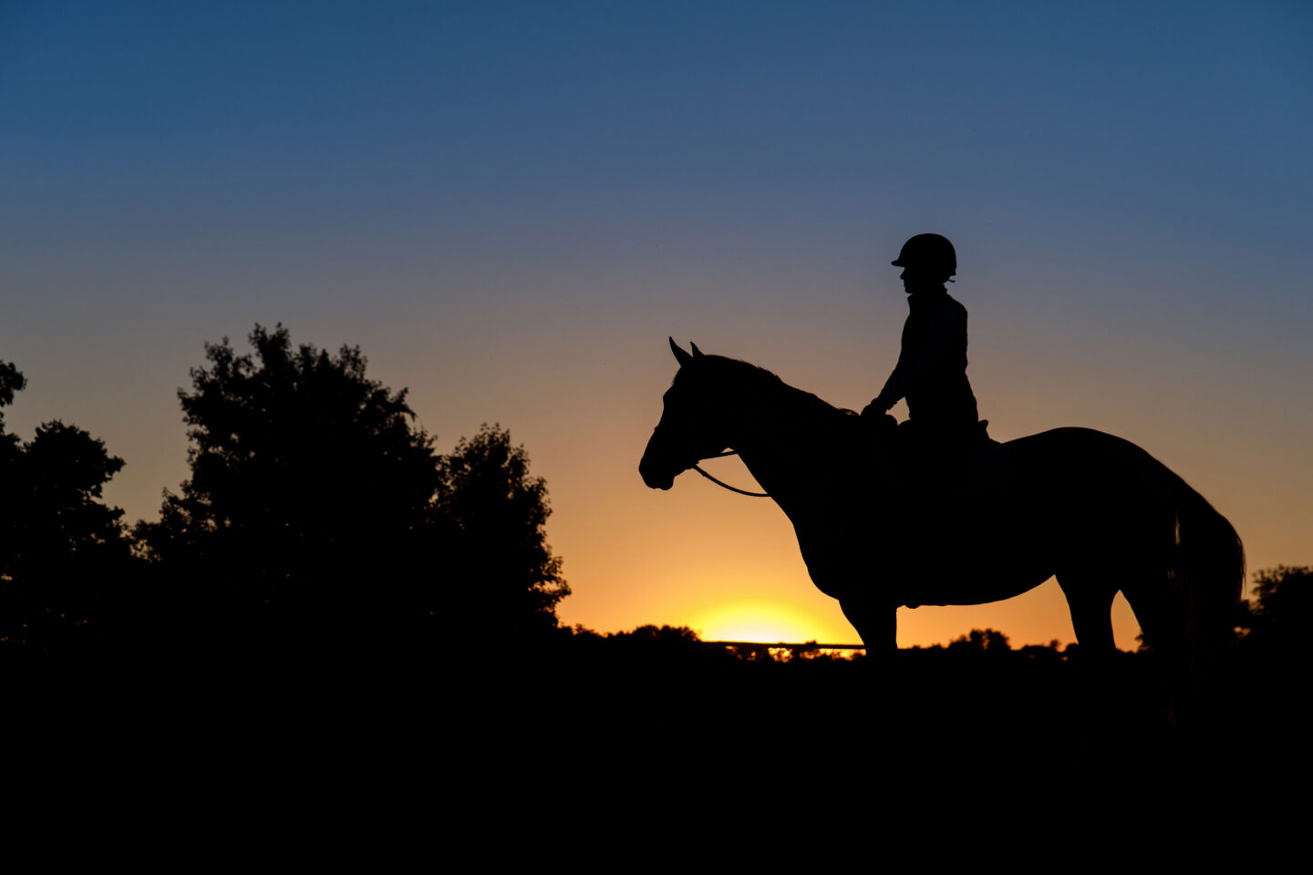 horse and rider at sunset