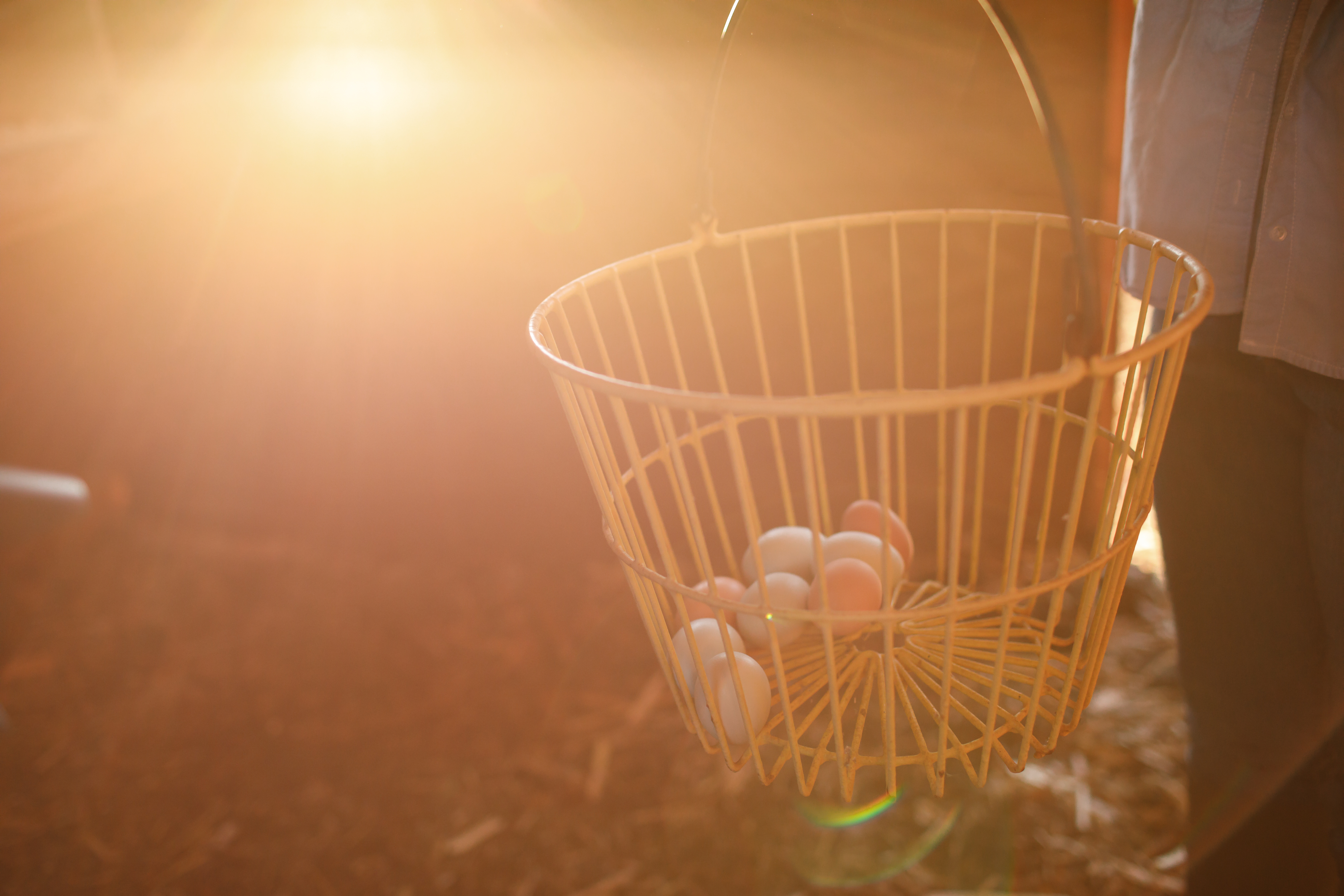 yellow-egg-basket