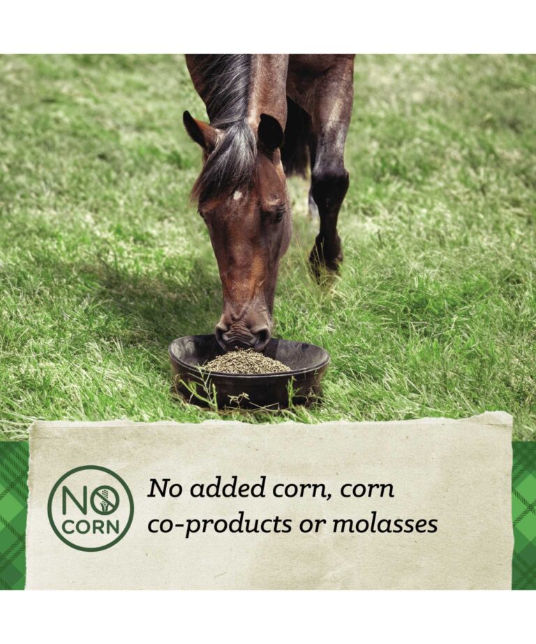 no added corn, corn coproducts or molasses