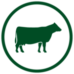 Green beef icon