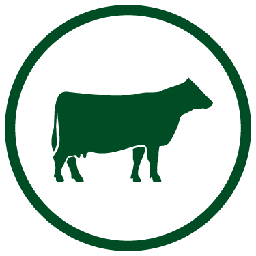Green beef icon