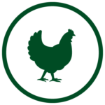 Green poultry icon