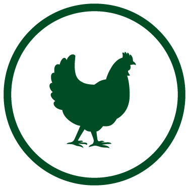 Green poultry icon