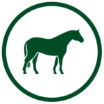 Green horse icon