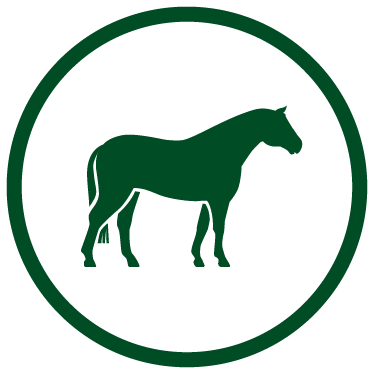 Green horse icon
