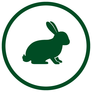 Green rabbits icon