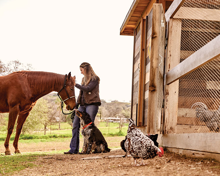 Woman petting horse with dog and chickens