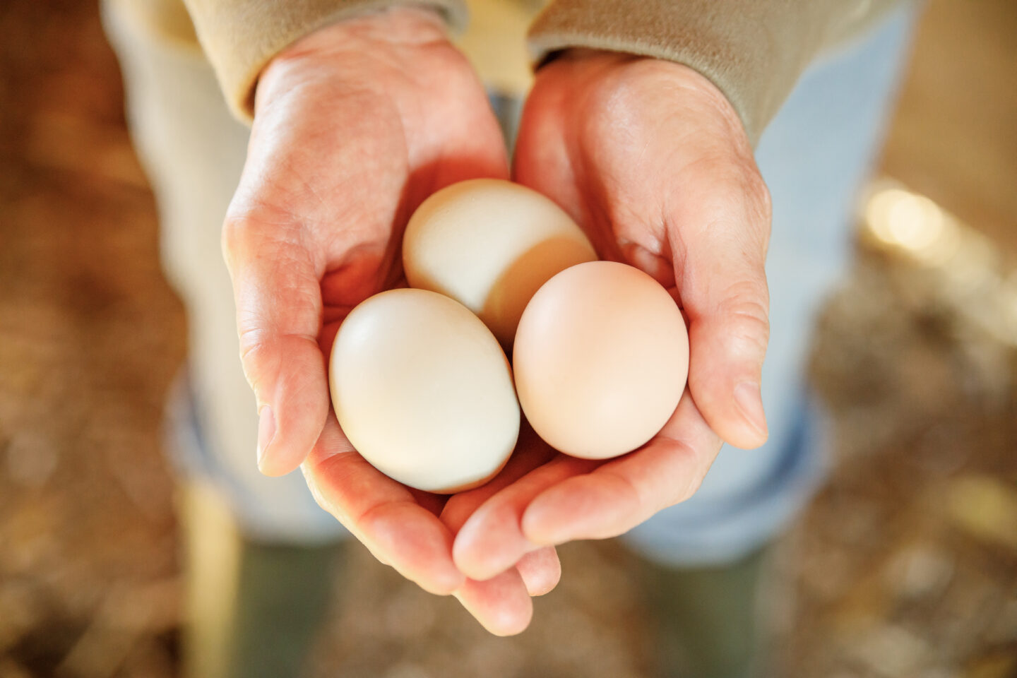 eggs in hand