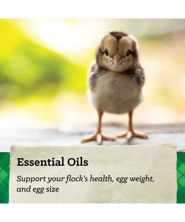 essential oils