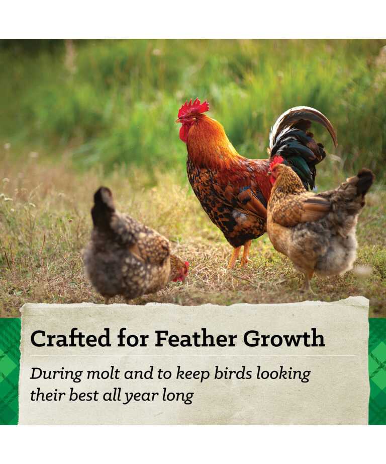 Crafted for feather growth