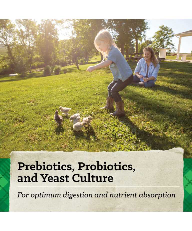 prebiotics, probiotics, and yeast culture