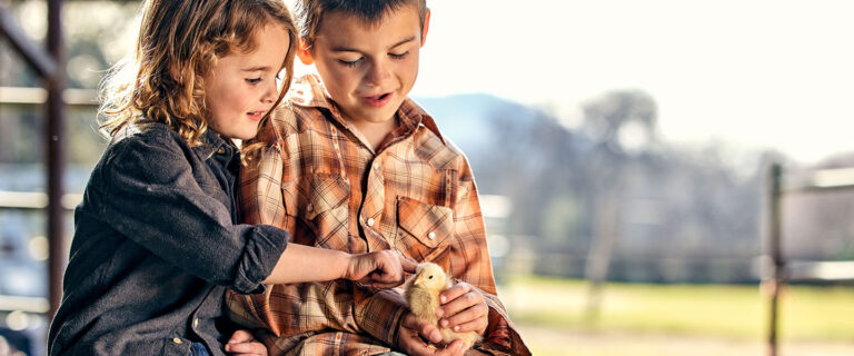 two kids petting a chick