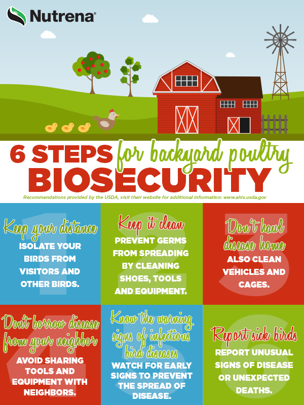 https://nutrenaworld.com/wp-content/uploads/2024/01/BackyardPoultryBiosecurity-1.png?utm_source=chatgpt.com