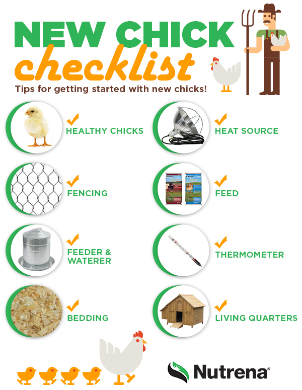 New Chick Checklist 