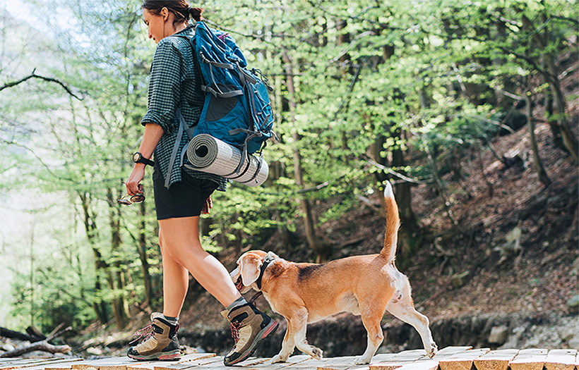 Woman backpacking with dog