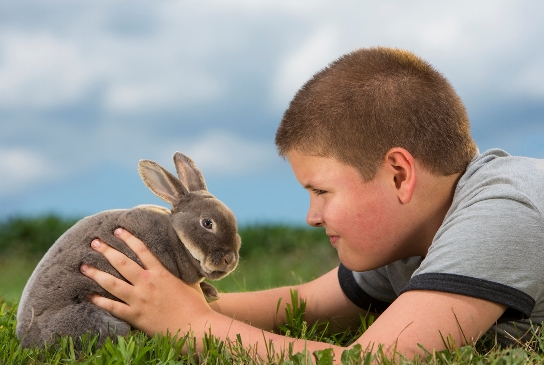 boy-holding-rabbit