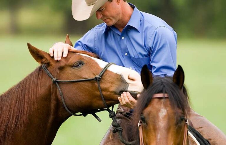 Chris Cox with horses