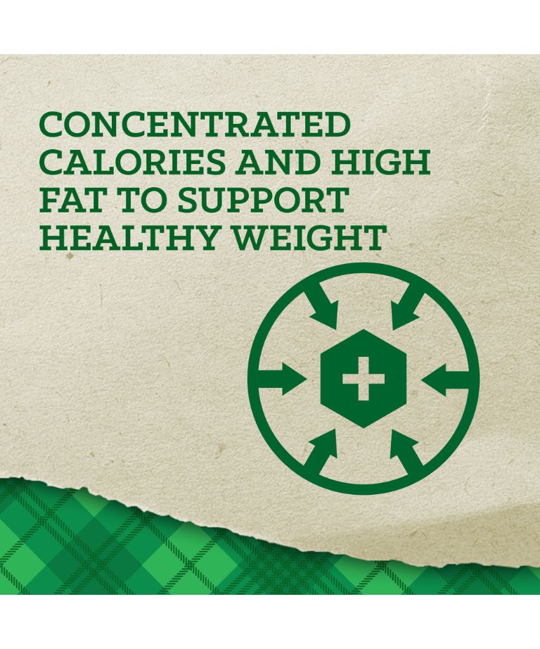 Concentrated calories and high fat to support healthy weight