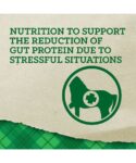 Nutrition to suppor the reduction of gut protein due to stressful situations