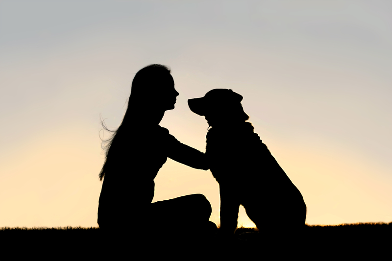 silhouette of a woman and dog both sitting