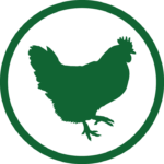 Chicken Icon