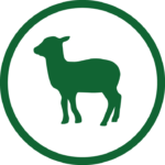 Lamb Green