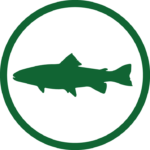 salmon icon