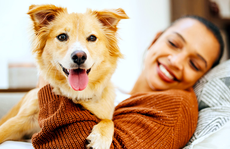Dog sitting on woman's lap