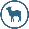 1st ingredient lamb