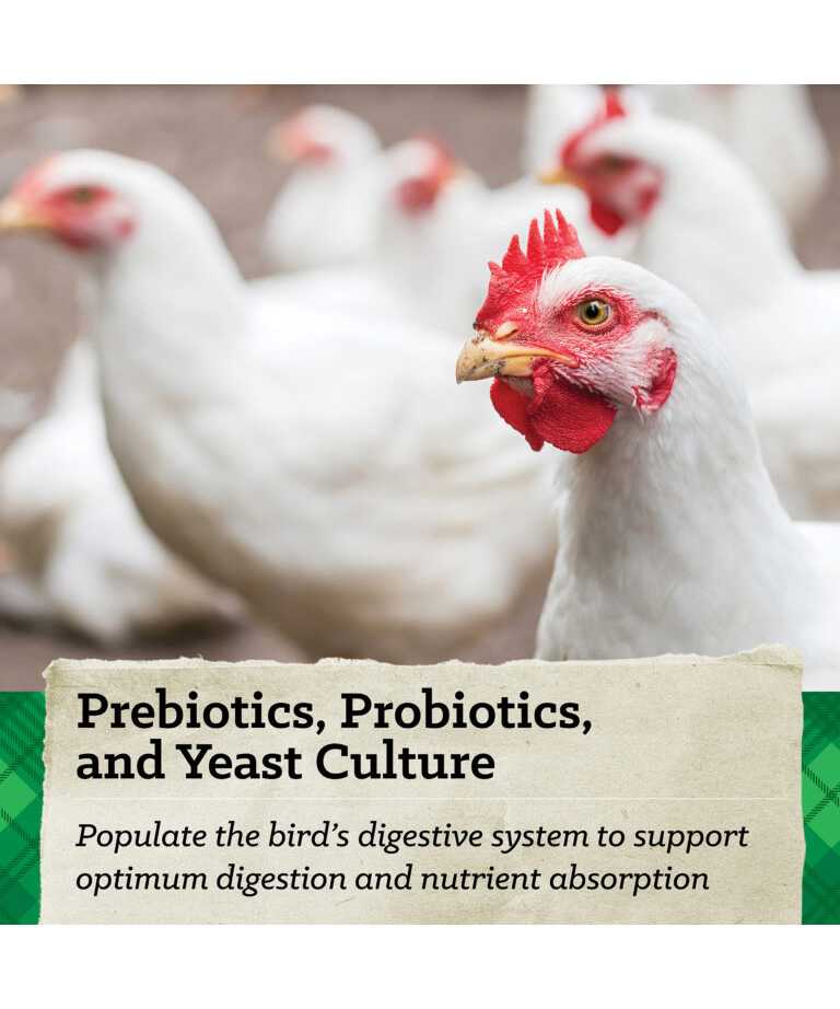 Prebiotics, Probiotics, and yeast culture