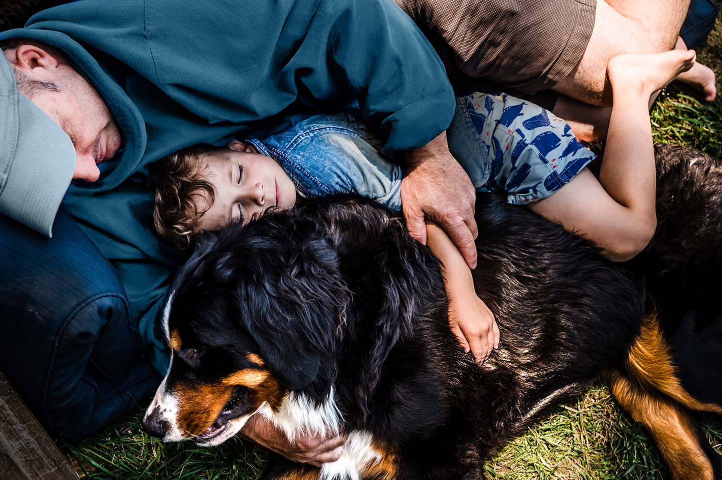 Father and son hugging Bernese Mountain Dog
