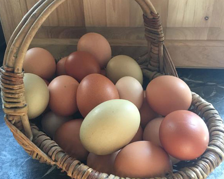 Basket full of eggs