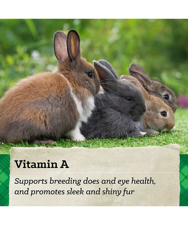 vitamin A