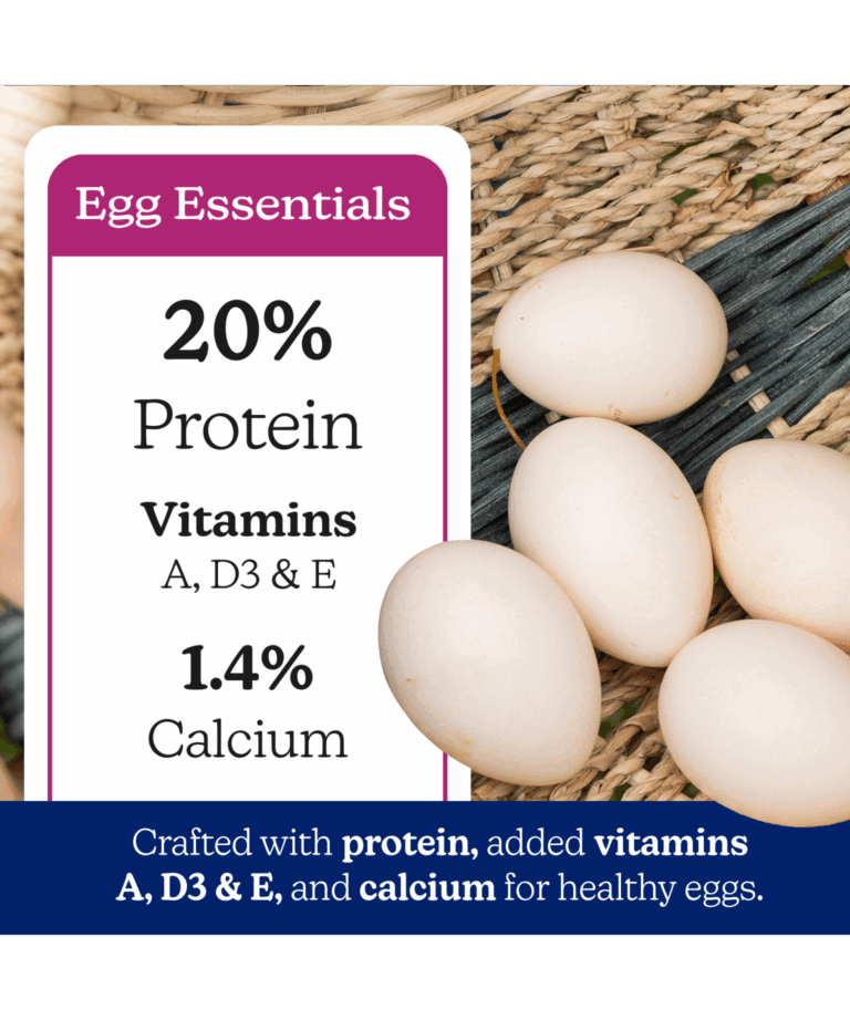nutrena naturewise all flock crumble with 20% protein and vitamins and calcium